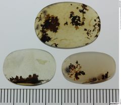 Foto von Quarz (Chalcedon, Achat, Dendritenachat/Mokkastein) (NHMW-MIN-Ab5827)